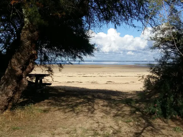 Photo d'une plage