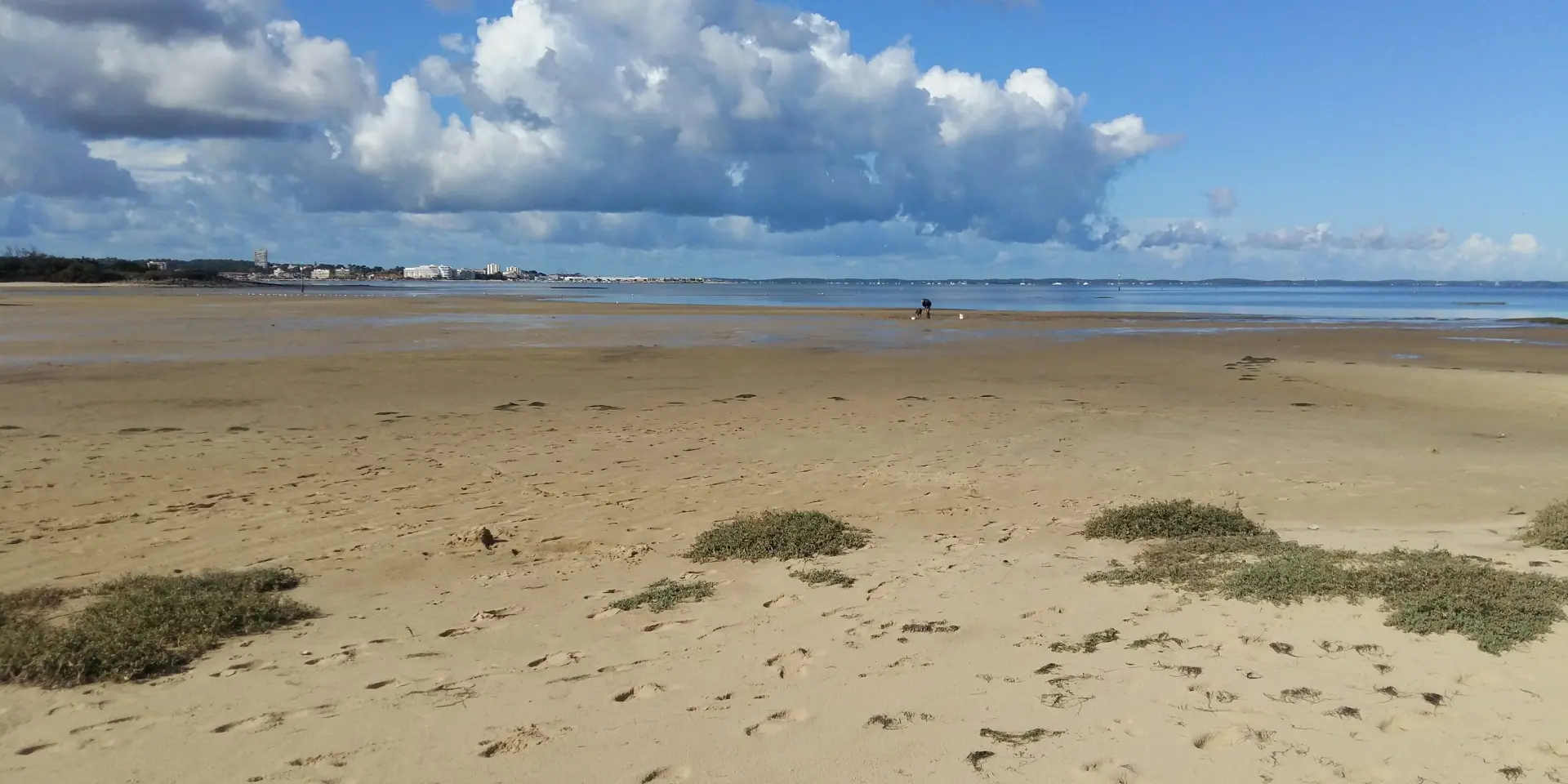 photo d'une pêche à pied en marée basse