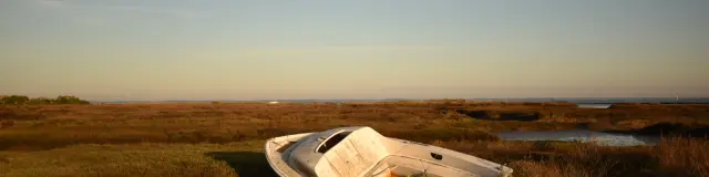 Photo de la marée basse comportant un bateau